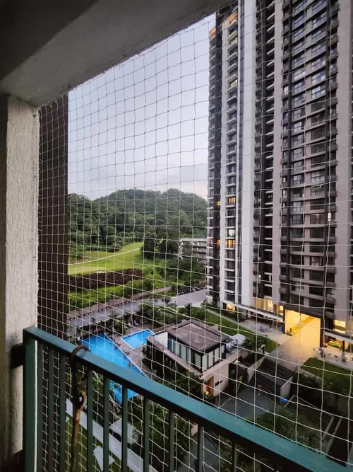 An image of Bird Net